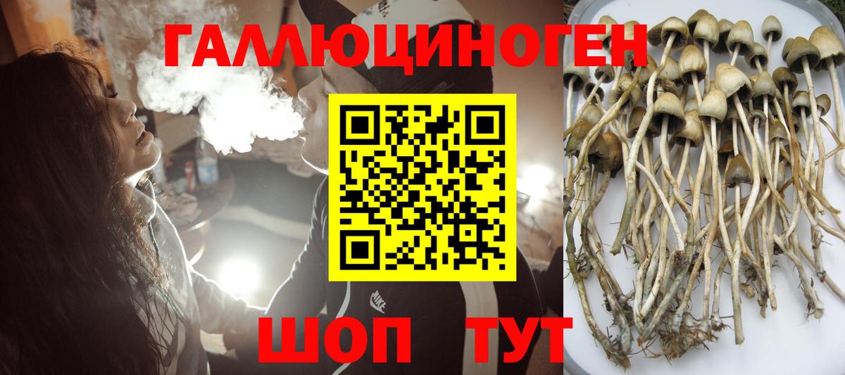 Псилоцибиновые грибы ЛСД  Псилоцибиновые грибы прущие грибы  Коломна  сколько стоит  Вход с VPN 